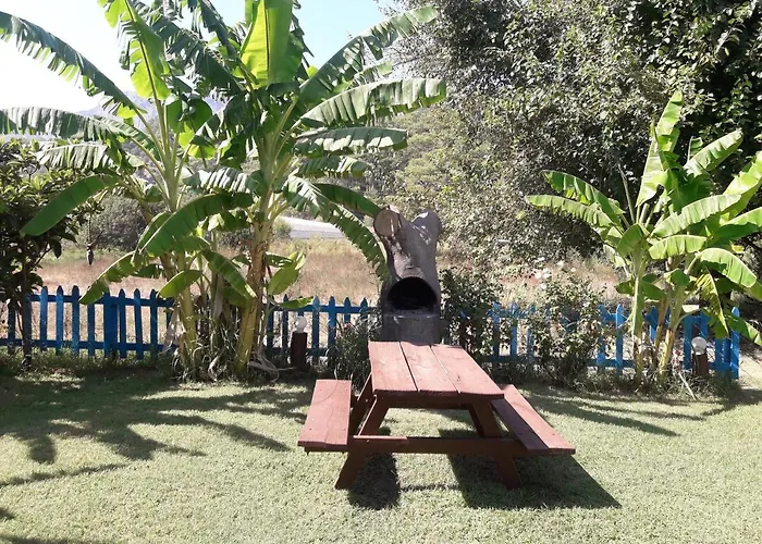 Rose Саригерме