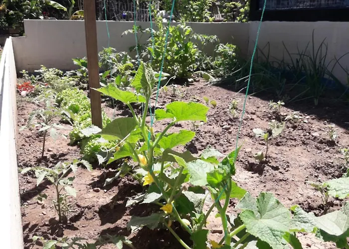 Rose Apartamento Sarigerme