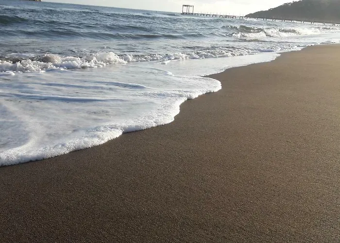 Rose Саригерме