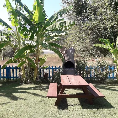شقة Rose
