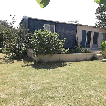 Rose Apartment Sarigerme