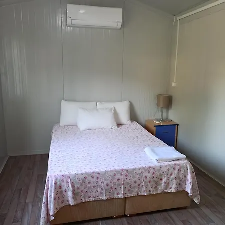 Rose 사리게르메