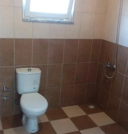 Rose * 사리게르메