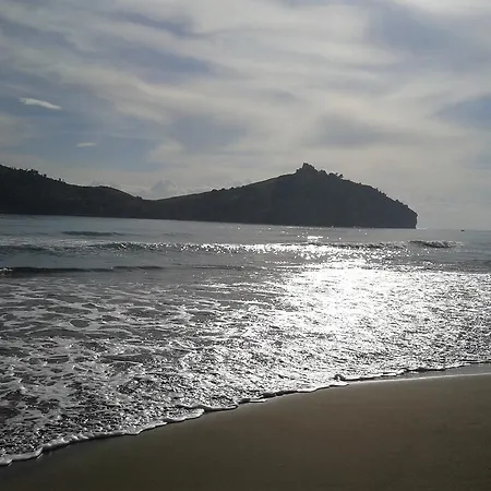 아파트 Rose 사리게르메