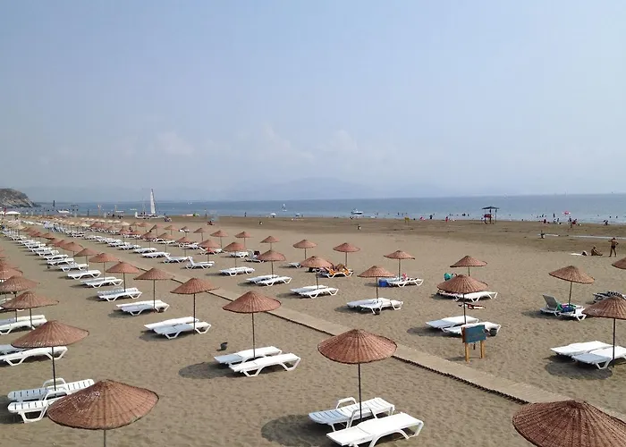 Rose Daire Sarıgerme